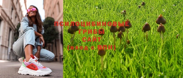 мяу мяу мука Нефтегорск