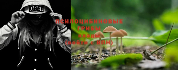 прущие крисы Нея