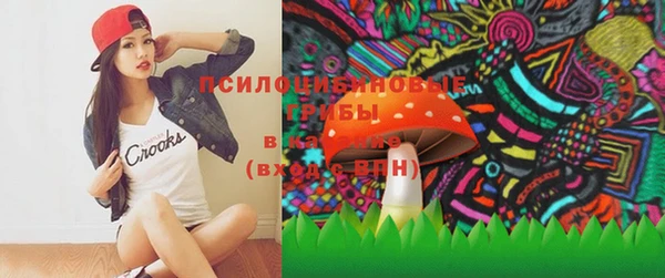 соль ск Надым